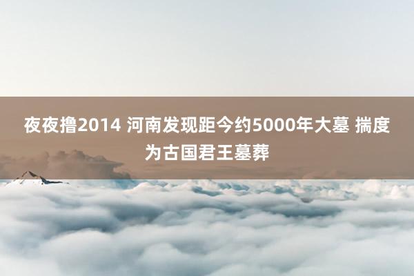 夜夜撸2014 河南发现距今约5000年大墓 揣度为古国君王墓葬