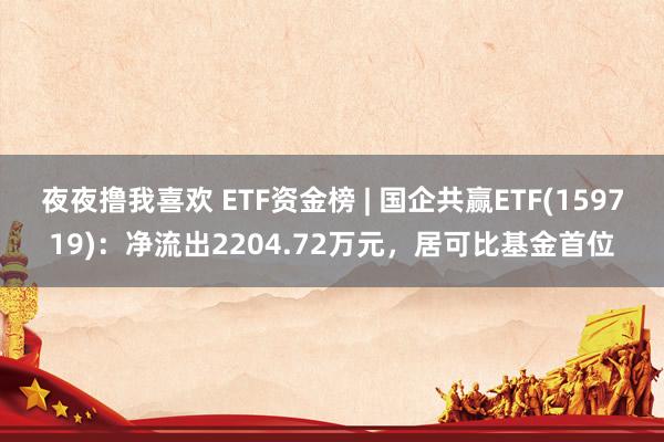夜夜撸我喜欢 ETF资金榜 | 国企共赢ETF(159719)：净流出2204.72万元，居可比基金首位