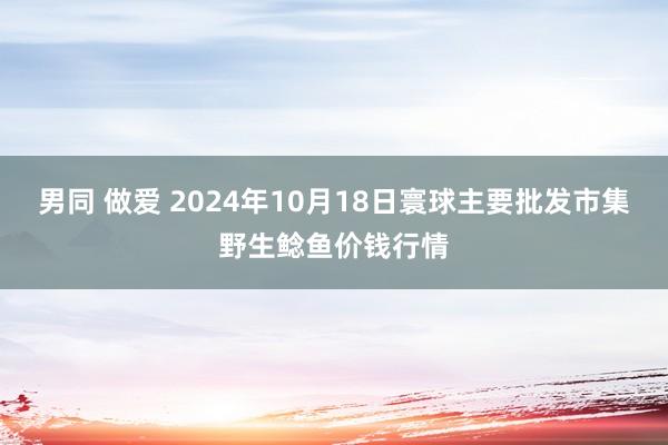 男同 做爱 2024年10月18日寰球主要批发市集野生鲶鱼价钱行情