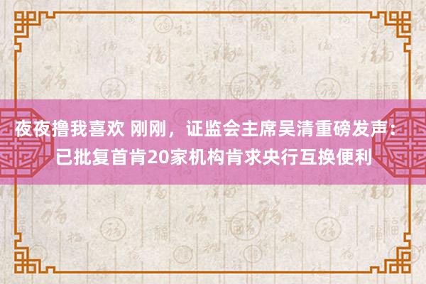 夜夜撸我喜欢 刚刚，证监会主席吴清重磅发声： 已批复首肯20家机构肯求央行互换便利