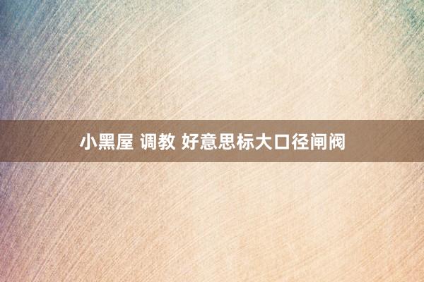 小黑屋 调教 好意思标大口径闸阀