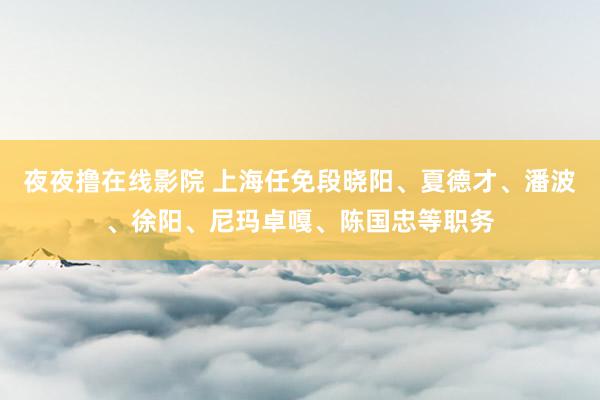 夜夜撸在线影院 上海任免段晓阳、夏德才、潘波、徐阳、尼玛卓嘎、陈国忠等职务
