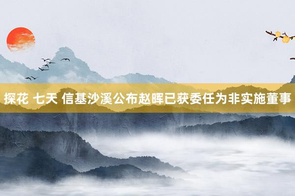 探花 七天 信基沙溪公布赵晖已获委任为非实施董事