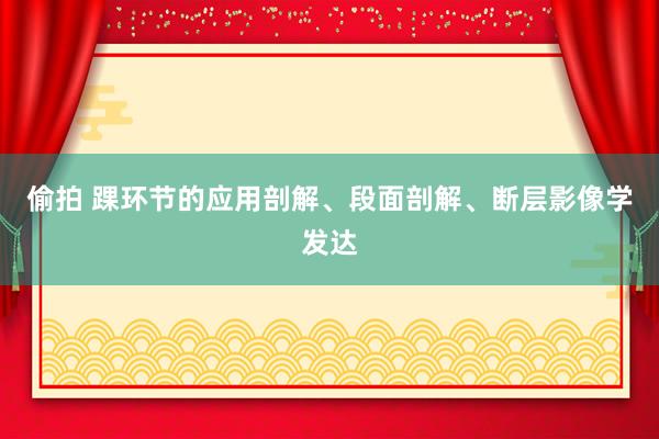 偷拍 踝环节的应用剖解、段面剖解、断层影像学发达