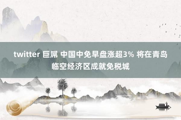 twitter 巨屌 中国中免早盘涨超3% 将在青岛临空经济区成就免税城