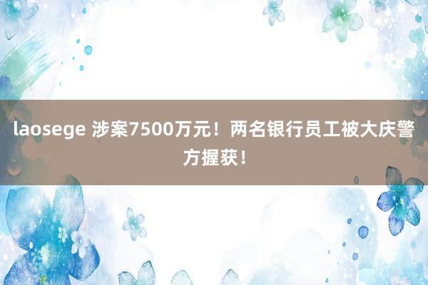 laosege 涉案7500万元！两名银行员工被大庆警方握获！