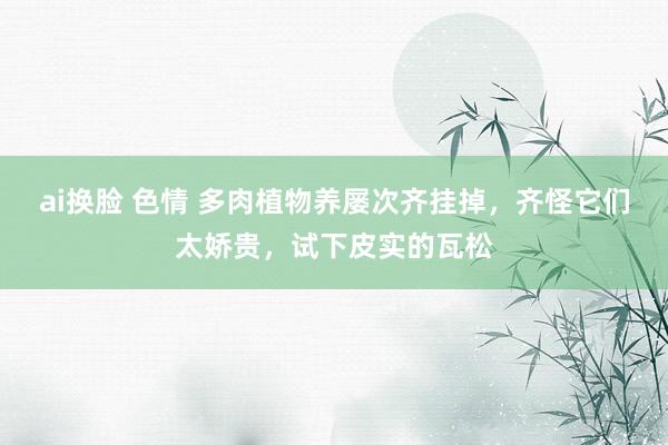 ai换脸 色情 多肉植物养屡次齐挂掉，齐怪它们太娇贵，试下皮实的瓦松