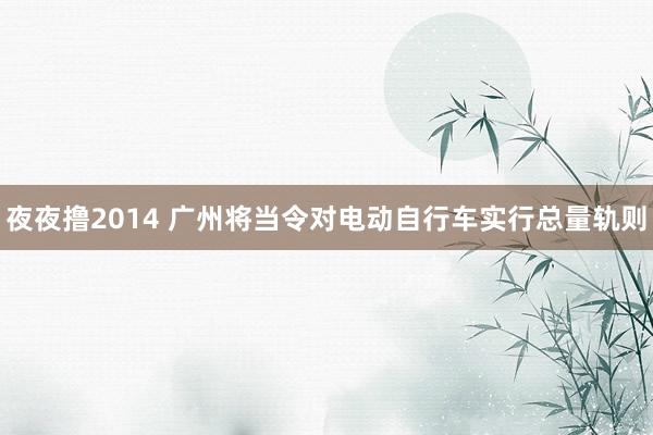 夜夜撸2014 广州将当令对电动自行车实行总量轨则