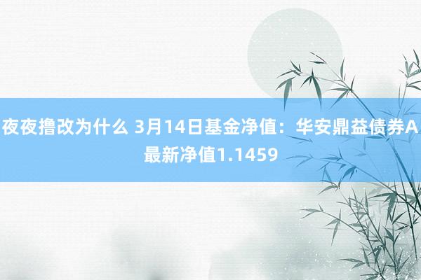 夜夜撸改为什么 3月14日基金净值：华安鼎益债券A最新净值1.1459