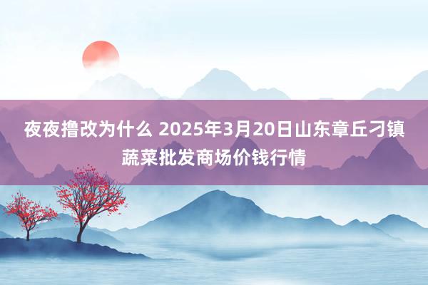 夜夜撸改为什么 2025年3月20日山东章丘刁镇蔬菜批发商场价钱行情