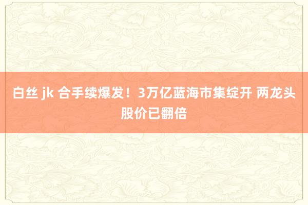 白丝 jk 合手续爆发！3万亿蓝海市集绽开 两龙头股价已翻倍
